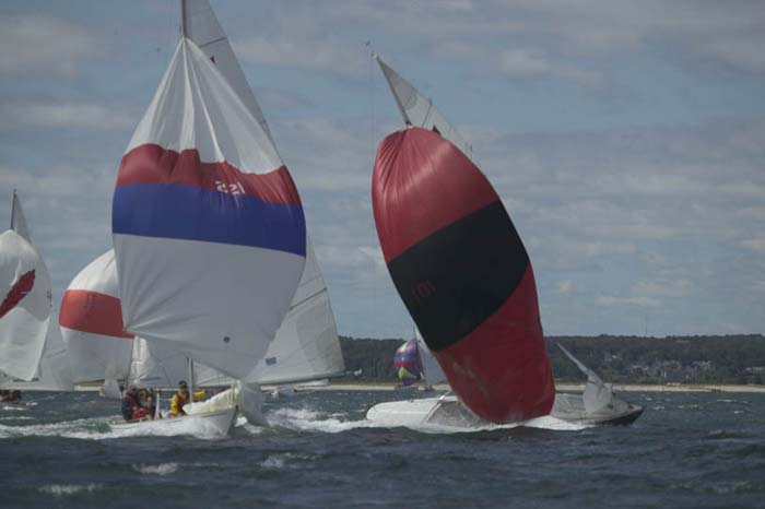5D2W7893 - sail 221 sail 101