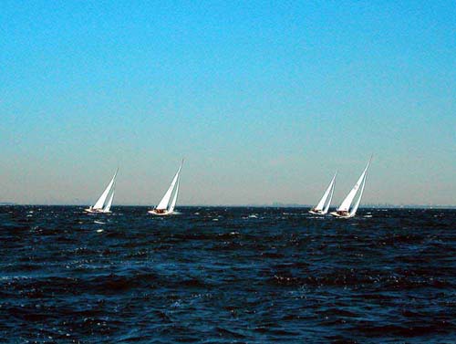 100-race-2_1d-01-01