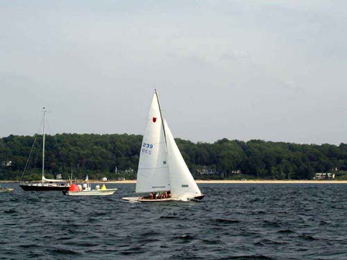 239-01-01