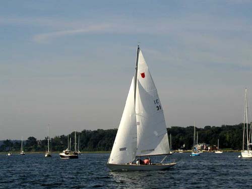 31-01