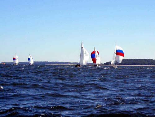 P1010025-01-01