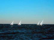 100-race-2_1d-01-01