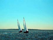 107_239b-01-01