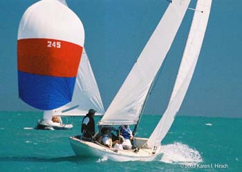 Roll-D-37