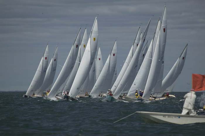 100_7924 - sail 245