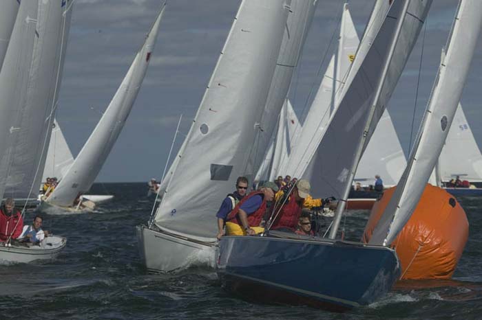 100_8140 - sail 244