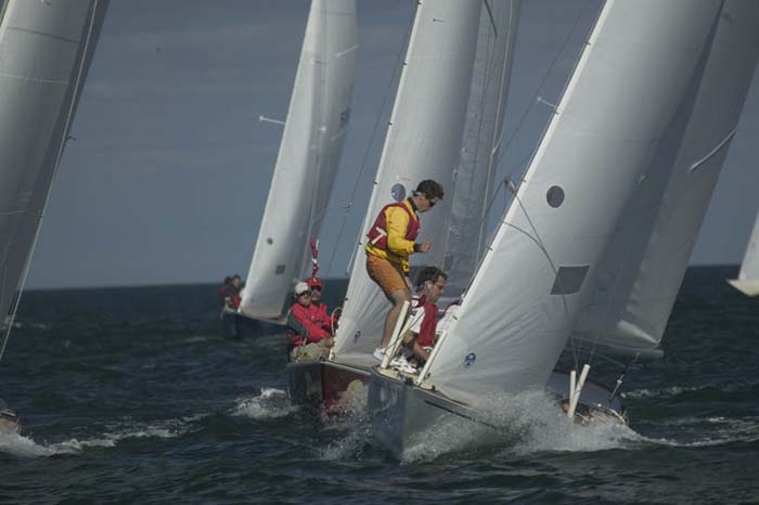 100_8149 - sail 224