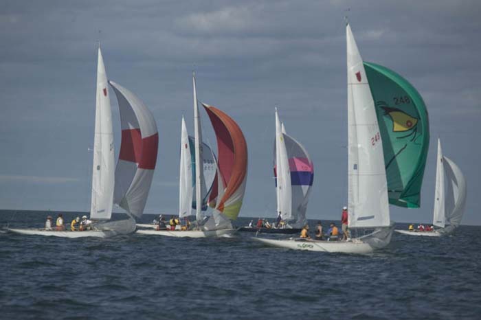 100_8175 - Sail 248