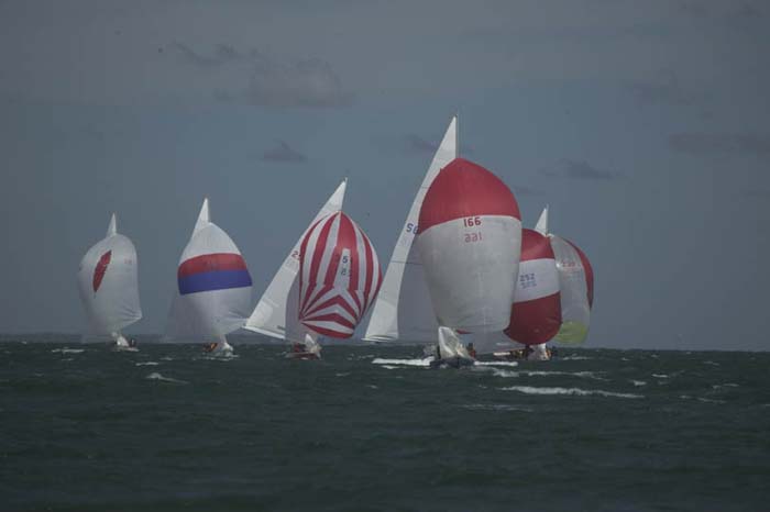 100_8411 - Sail 58