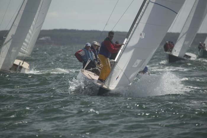100_8449 - sail 245