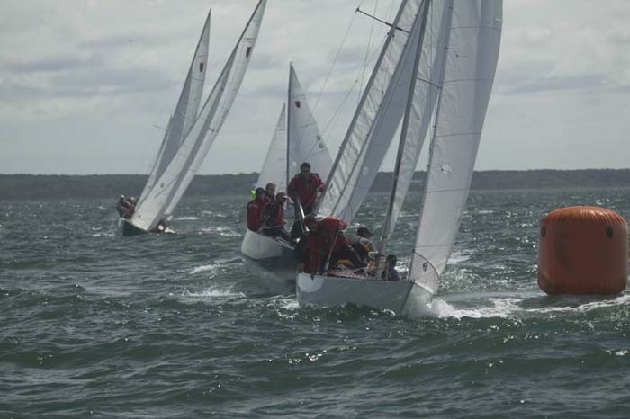 100_8456 sail 248