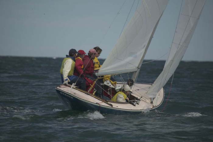 100_8470 - sail 239