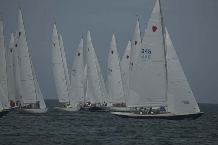 5D2W7179 - sail 245