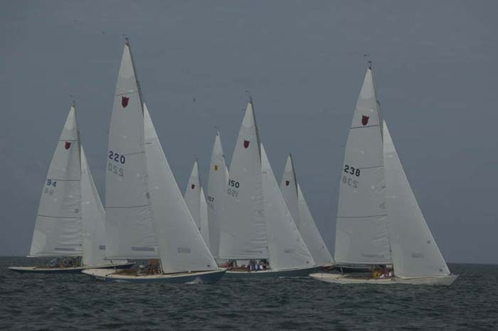 5D2W7188 - sail 238
