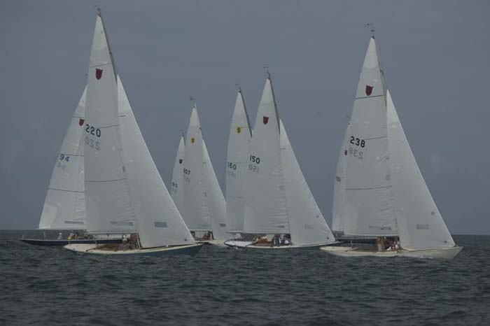 5D2W7189 - sail 238