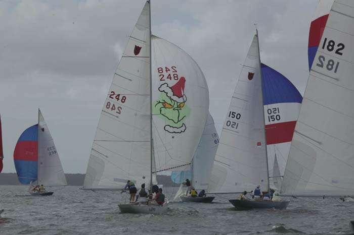 5D2W7256 - sail 248