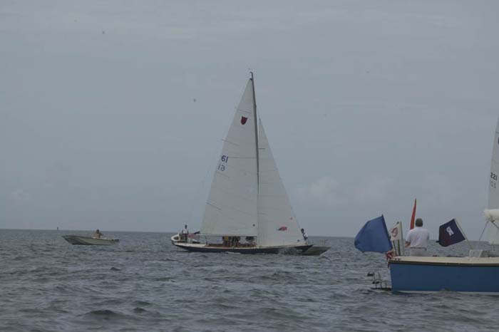 5D2W7290 - sail 61