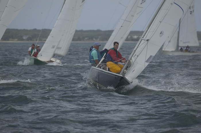 5D2W7475 - sail 245