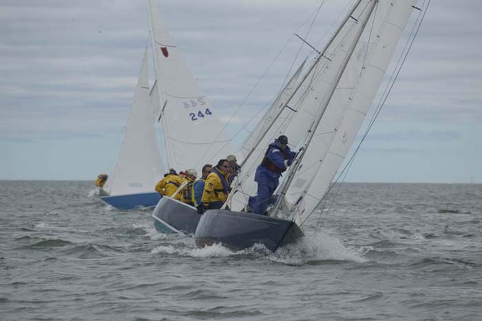 5D2W7769 - sail 61