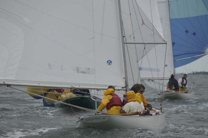 5D2W7782 - sail 230