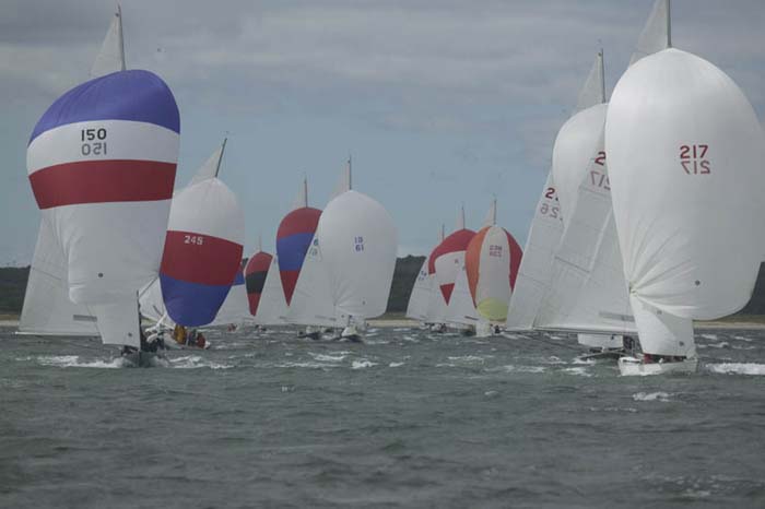5D2W7837 - sail 150 sail 217 sail 61