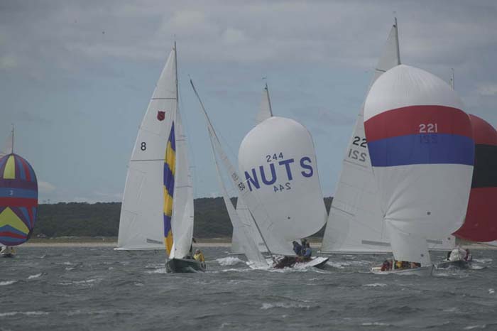 5D2W7847 - sail 244