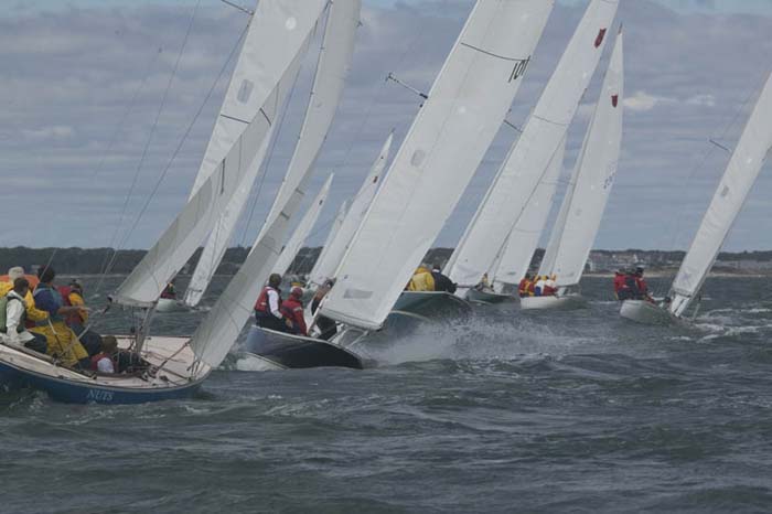 5D2W7854 - sail 101