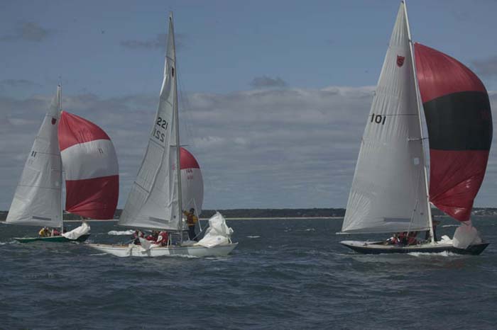 5D2W7906 - sail 221