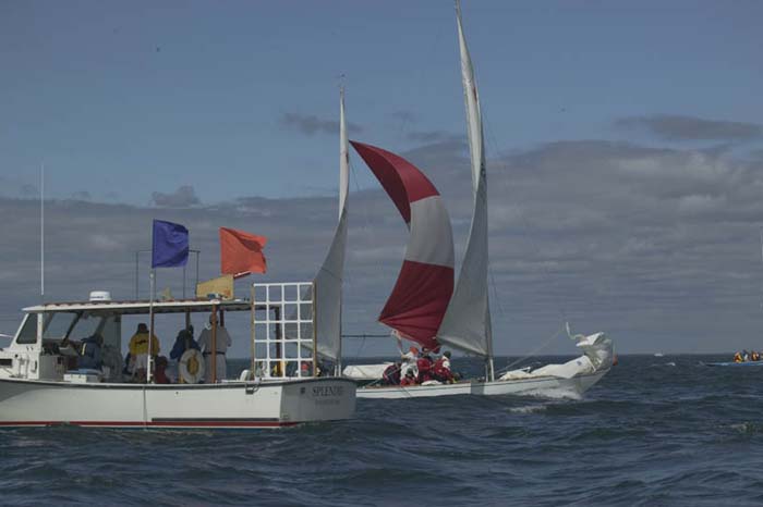 5D2W7907 - sail 221 sail 11