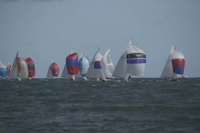 5D2W8249 - sail 220