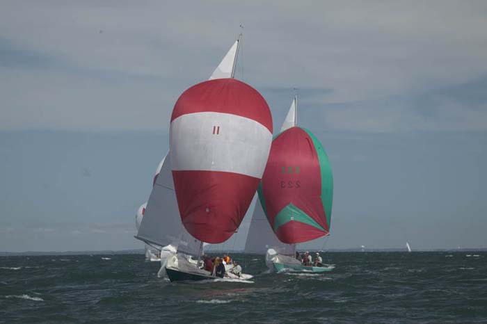 5D2W8323 - sail 11 sail 223