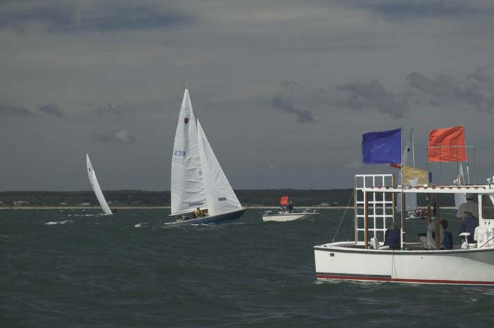 5D2W8356 - sail 239