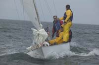 100_7700 - sail 229