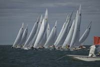 100_7924 - sail 245