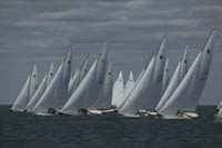 100_7935 - sail 245