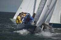 100_7967 - sail 61