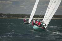 100_7983 - sail 223