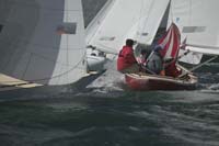 100_7989 - sail 251