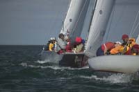 100_8000 - sail 252