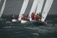 100_8024 - sail 160 sail 217 sail 239