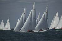 100_8113 - sail 224