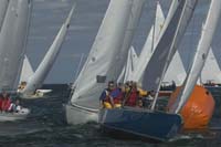 100_8140 - sail 244