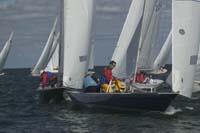 100_8141 - sail 245