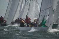 100_8383 - sail 248