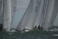 100_8393 - sail 252