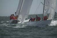 100_8397 - sail 8
