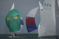 100_8438 - sail 248