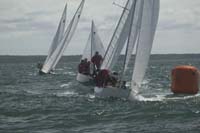 100_8456 sail 248