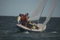100_8470 - sail 239