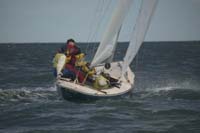100_8471 - sail 239